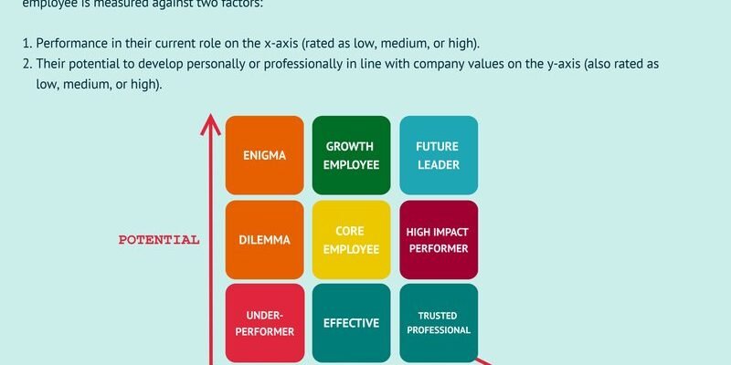 betify-overview.jpg